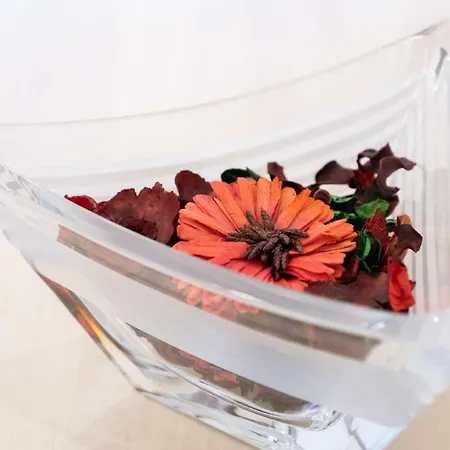 Apartmán Lively Getaway